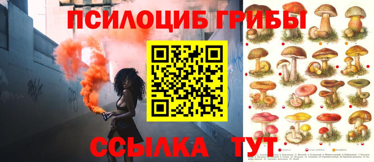 Галлюциногенные грибы Psilocybine cubensis Оренбург